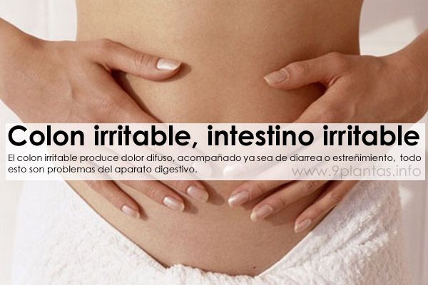 Colon irritable, intestino irritable