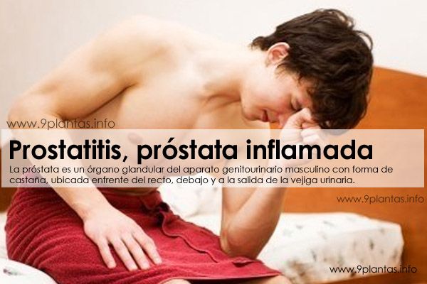 Prostatitis, prostata inflamada, remedios para desinflamar la prostata