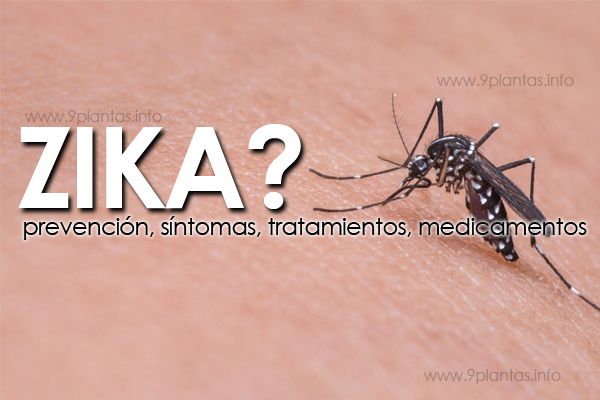 Zika virus, síntomas del sika, prevención tratamientos y medicamentos