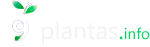 9plantas logo