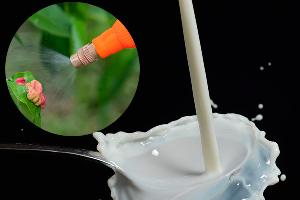 Fungicida Casero a base de leche y bicarbonato